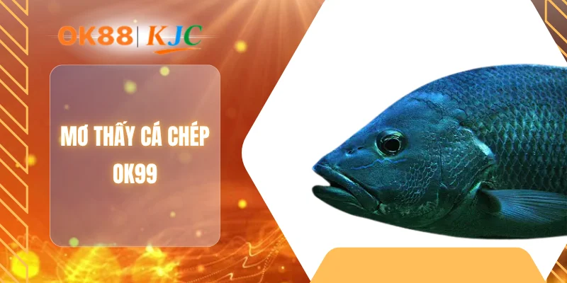 MƠ THẤY CÁ CHÉP OK99