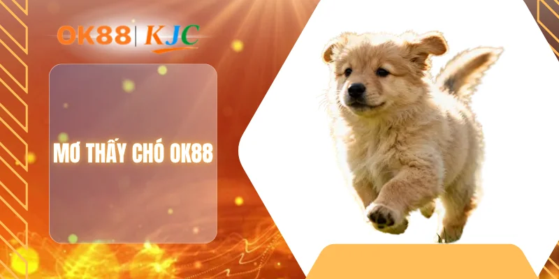 MƠ THẤY CHÓ OK88
