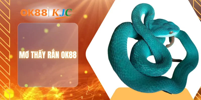 MƠ THẤY RẮN OK88